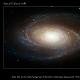 space16