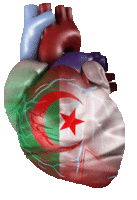 B.KHELFAOUI