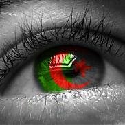 AlgerianDream
