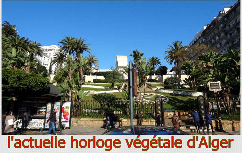 1835924125_3actuellehorlogevegetalealger.JPG.52a220c11c96e4f720b0031f981f1566.JPG
