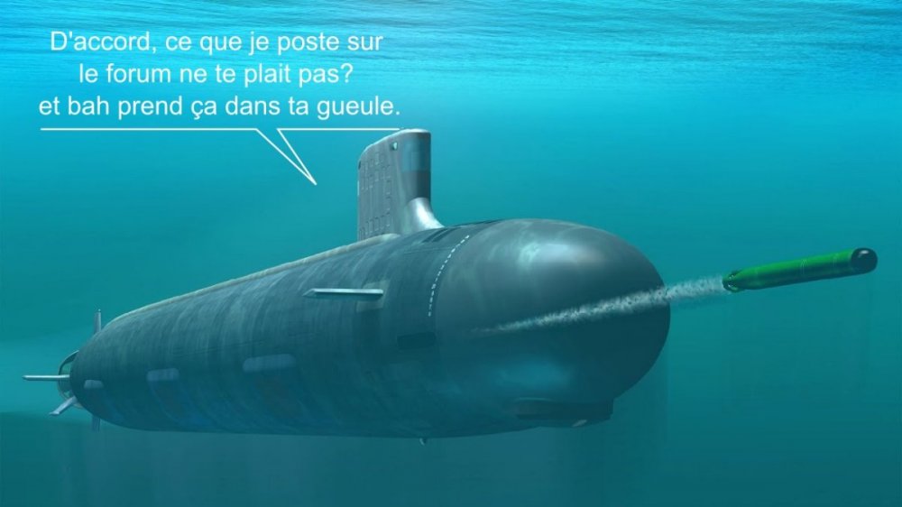sousmarin.thumb.jpg.7eadec30472ee31f2b79b744e0aff278.jpg