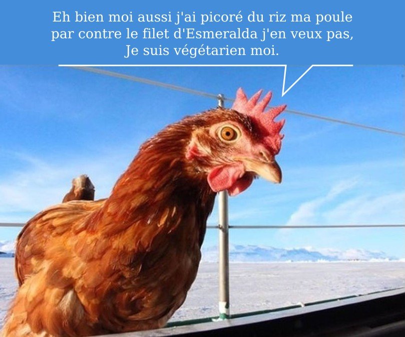 poule.jpg.19d34801a54a997e7c6c2601f564f1e1.jpg