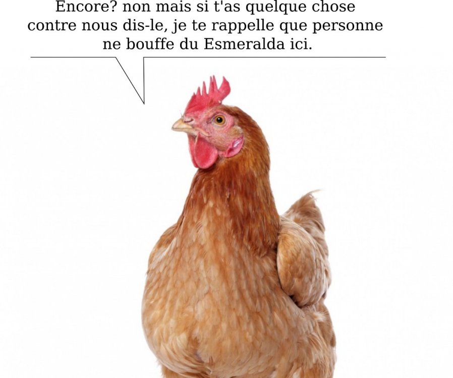 poulet.thumb.jpg.2eb0ee5afaf75e0f0bd07070ba59065f.jpg